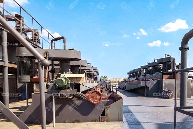 Tanzania Gold CIL Processing Plant