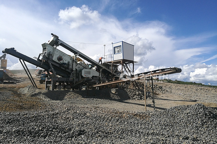 zenith-russia-case(3)